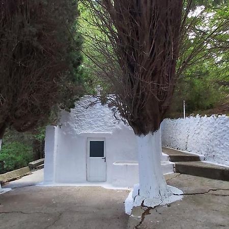 Traditional House In Asfendiou Agios Dimitrios  Exteriör bild