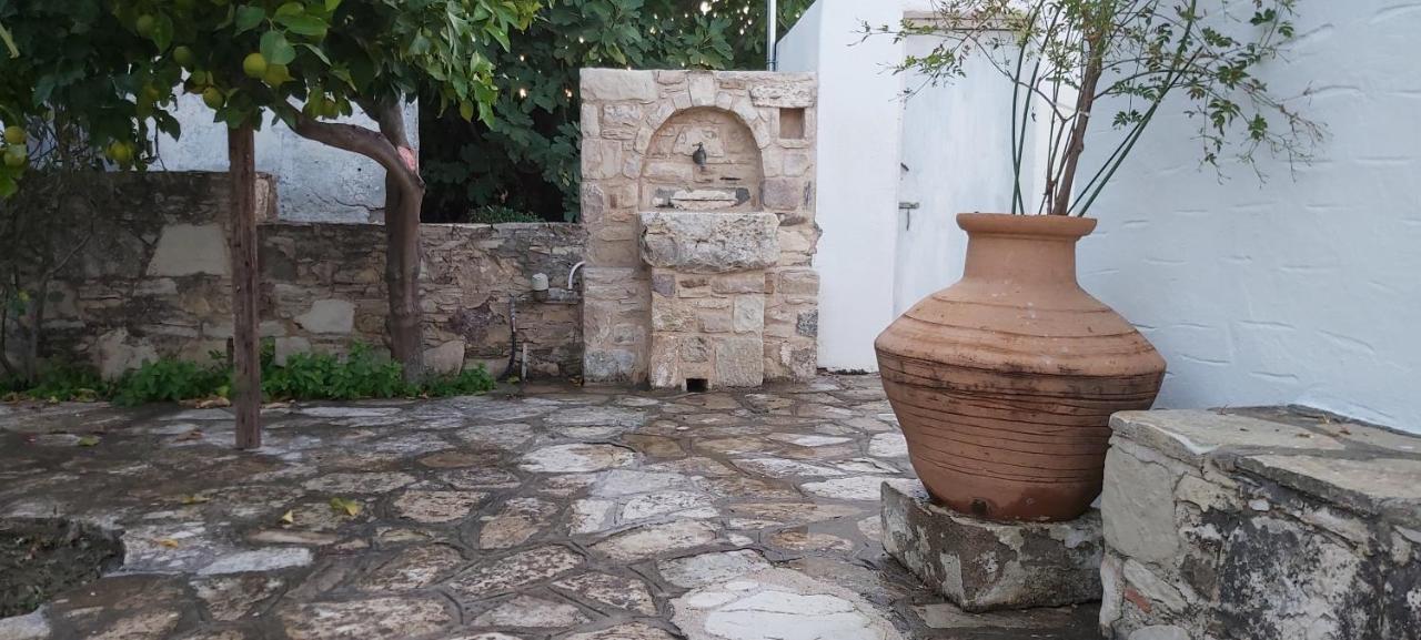 Traditional House In Asfendiou Agios Dimitrios  Exteriör bild