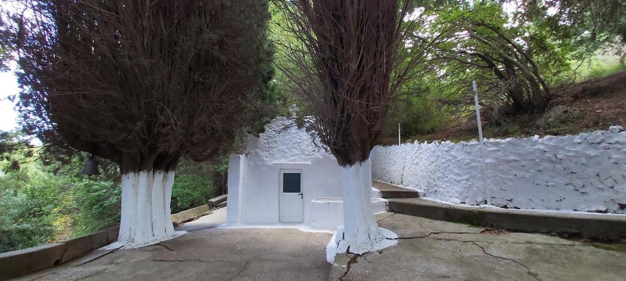 Traditional House In Asfendiou Agios Dimitrios  Exteriör bild